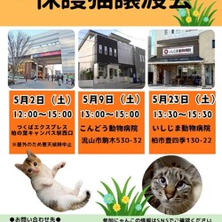 柏市♡保護猫譲渡会♡NPO法人にゃん2