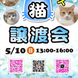 ほごねこ東京譲渡会＠尾久