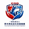 一般社団法人 野犬再社会化...（保護活動者）
