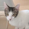超甘えん坊で超わんぱく♡かんたくん サムネイル2