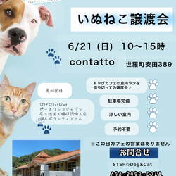 いぬねこ譲渡会