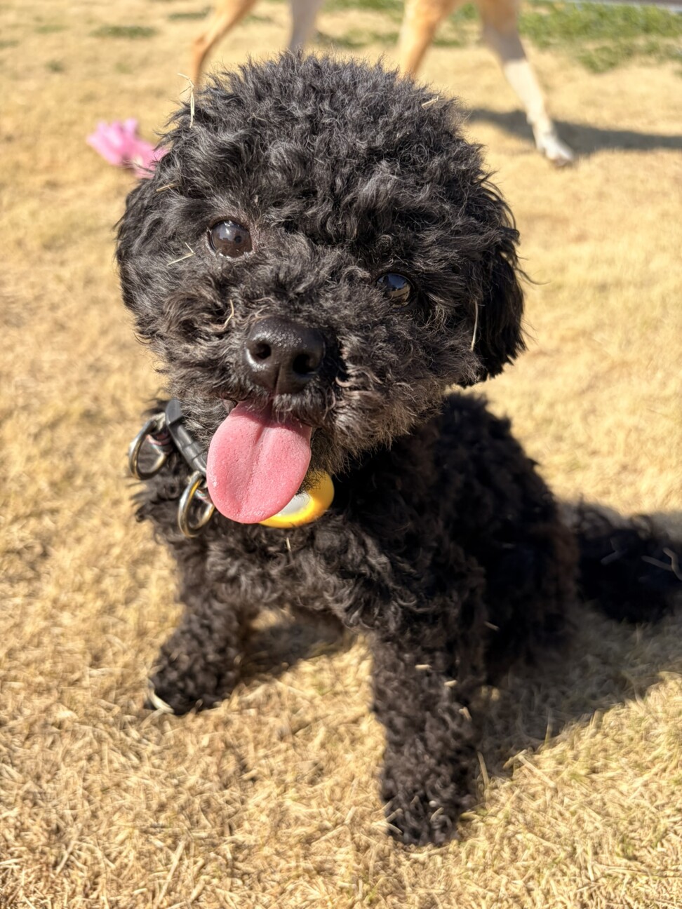 すってんころりん転んでもめげない！Ziggy サムネイル2