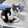 超あまえんぼななつこい男子つくしくん サムネイル2
