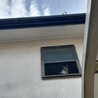 超あまえんぼななつこい男子つくしくん サムネイル7