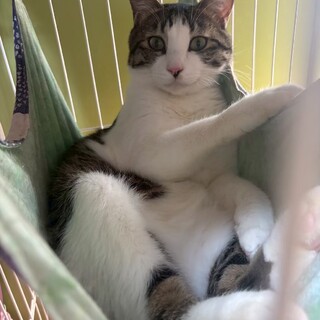 ビビリな慎重派、きょうへいくん