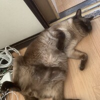 カイ