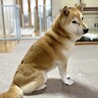 健気に頑張ってきたこの想いが心に響きますように サムネイル6