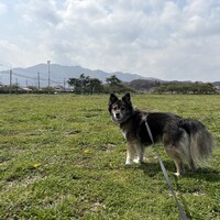 なな
