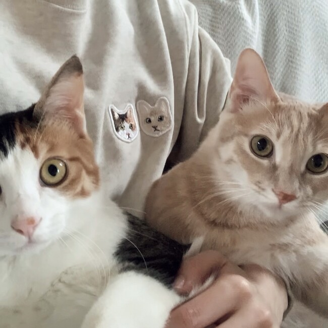 えびつゆのカバー写真