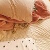 スコティッシュフォールド人懐っこいのんびり屋さん サムネイル5