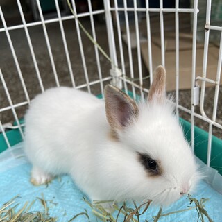 4月3日生まれ③