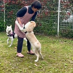 2月譲渡の兄弟　里帰り