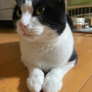 人が大好き♪いつでも側にいたいあきすみ君です！