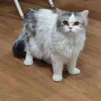 ユキ