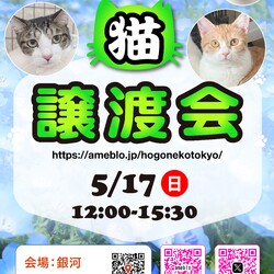 ほごねこ東京譲渡会＠駒込　駒込駅徒歩7分