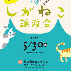 しがねこ譲渡会