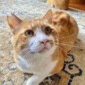 身体も心も大きなジャムくん（再募集）