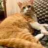 身体も心も大きなジャムくん（再募集） サムネイル2