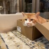 身体も心も大きなジャムくん（再募集） サムネイル4