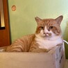 身体も心も大きなジャムくん（再募集） サムネイル5