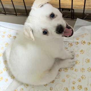 甘えん坊の　ののちゃん♡