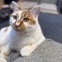 ビッグで優しい男の子♡