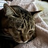 まっこ1219