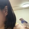 akmikqmあい