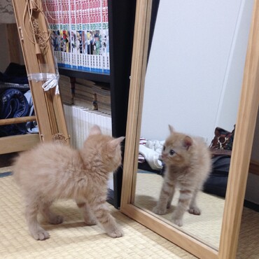 の写真