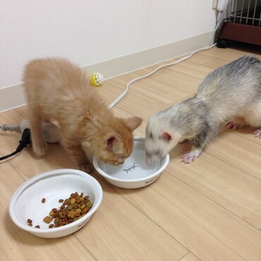 の写真