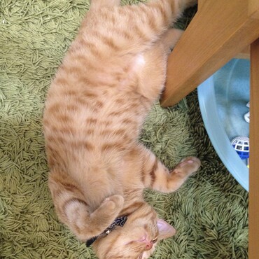 の写真