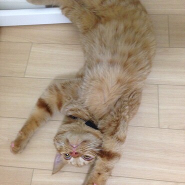 の写真