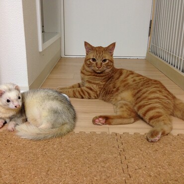 の写真
