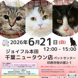 花ねこ譲渡会