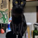 だいぶ人馴れしました！！よ