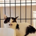 5/10カインズෆ⃛愛らしい性格ෆ⃛むぅちゃん