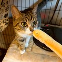 5/10幕張ෆ⃛甘えん坊ですෆ⃛しゅかちゃん