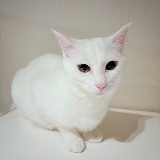 6/14カインズෆ⃛ビビリで優しいෆ⃛ゆきのじょう