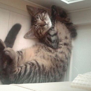 の写真