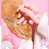 うさぎさんの里親希望