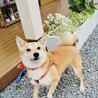 キュートなおてんばガール♡かわちゃん サムネイル3