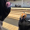 ばやん