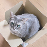 キキ