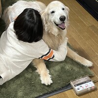 ふぃじっと