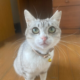ちぃ子