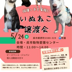 いぬねこ譲渡会