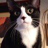 動物愛護団体NPO法人　あおぞら（保護活動者）