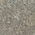 里親を友人の代わりに載せさせて頂いております。