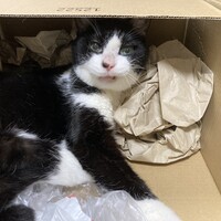 ミルク