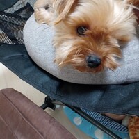ネイマール